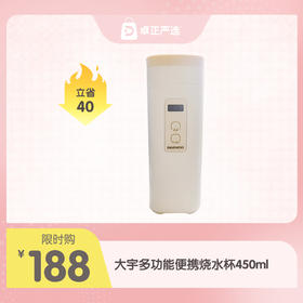 大宇多功能便携烧水杯450ml 智能控温旅行出差水壶