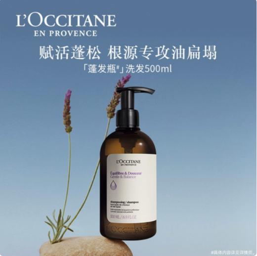 L’OCCITANE欧舒丹草本香菁纯平衡洗发露 商品图0