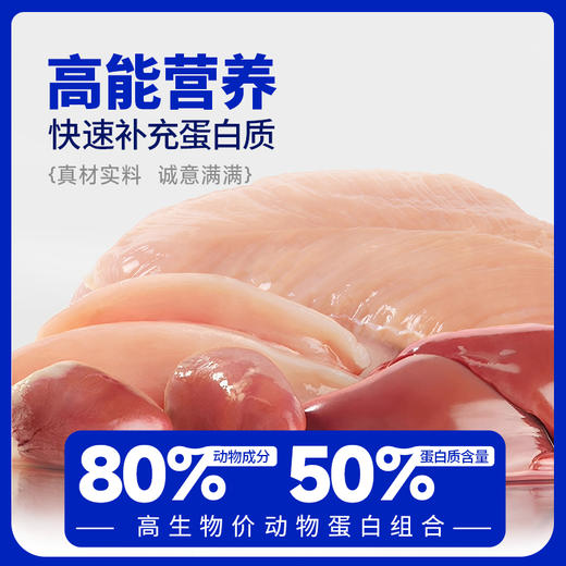 活力泰养护功能罐犬猫咪绝育术后恢复康复猫狗通用营养免疫湿粮罐头 商品图4