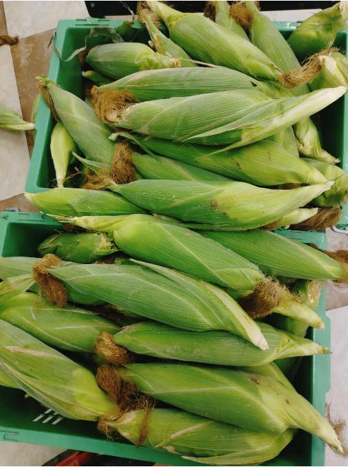 水果玉米3个 商品图1