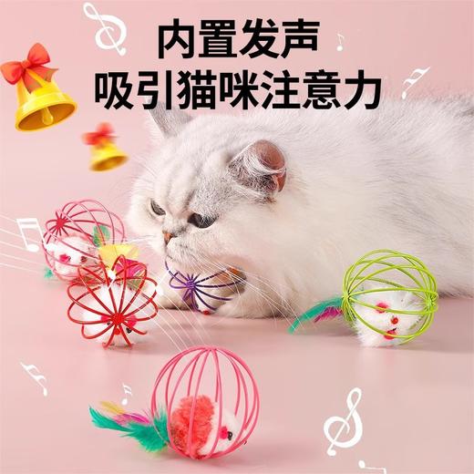 猫玩具球幼猫老鼠自嗨解闷神器小猫猫的笼中鼠1个(颜色随机) 商品图2