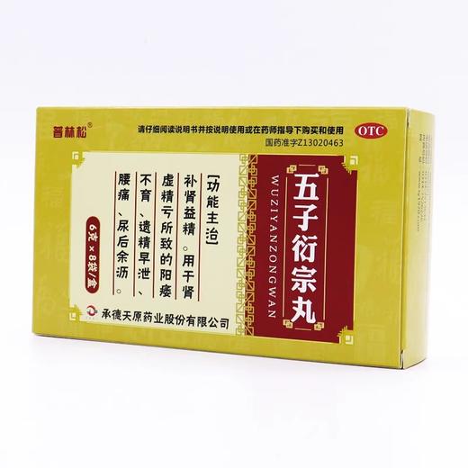 普林松五子衍宗丸 商品图3