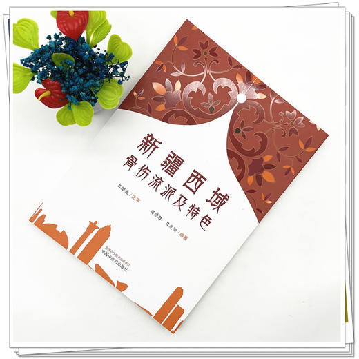 新疆西域骨伤流派及特色 苗德胜 吕发明 编著 中国中医药出版社 中医骨伤学 书籍 商品图1