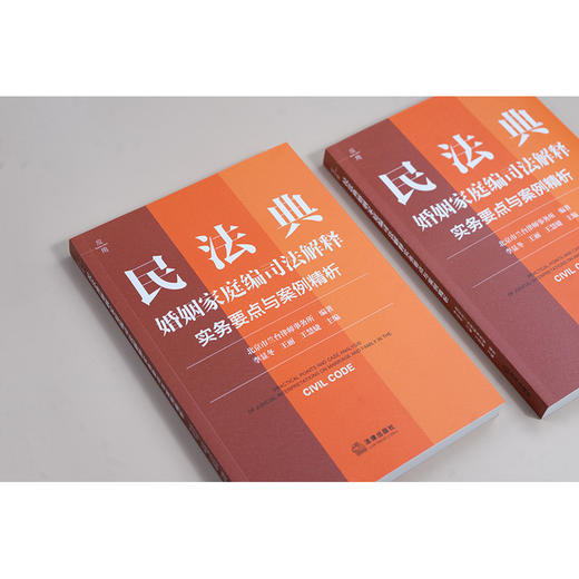 民法典婚姻家庭编司法解释实务要点与案例精析 北京市兰台律师事务所编著 李显冬 王丽 王慧婕主编 法律出版社 商品图1