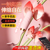 漫渺伸缩跳蛋女用自动伸缩震动棒按摩器APP远程异地遥控成人情趣 商品缩略图9