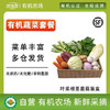 沈佳农有机蔬菜盲盒次卡/月卡/季卡（蔬菜品种不能挑选，只能备注忌口产品！）） 商品缩略图0