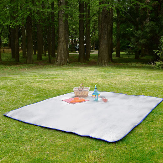 纵贯线seashore多功能野餐垫 商品图0