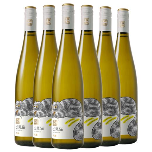 【林允代言】张裕长尾猫长相思半干白葡萄酒750ml 商品图3