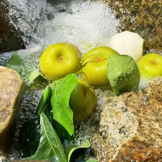 水果优选-建宁翠冠梨，来自闽北山间的翡翠明珠，脆嫩多汁鲜甜爽口 商品图12