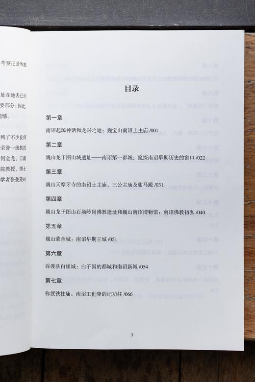 【艺起读书】寻迹古国南诏 韩铁如著 商品图7