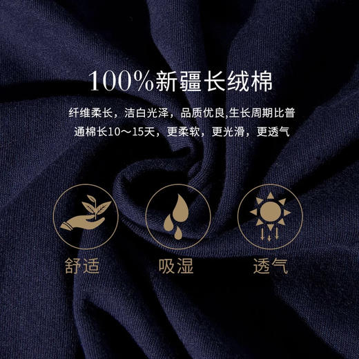 【专柜同款】夏季纯棉男款圆领短袖百搭吸湿透气WP150300 商品图3