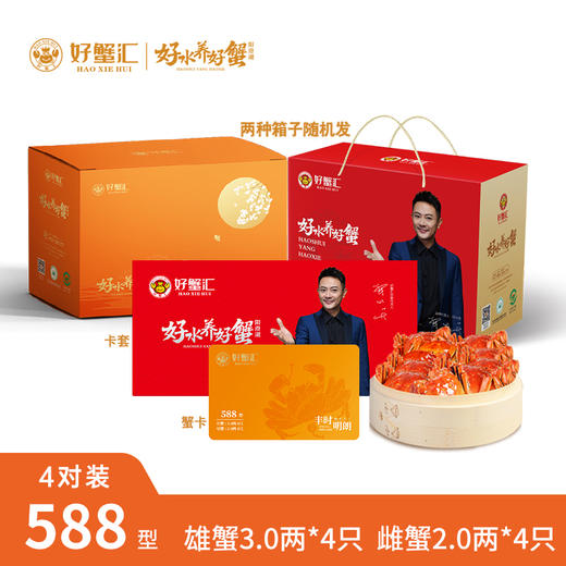 礼遇珍品大闸蟹588型 商品图0