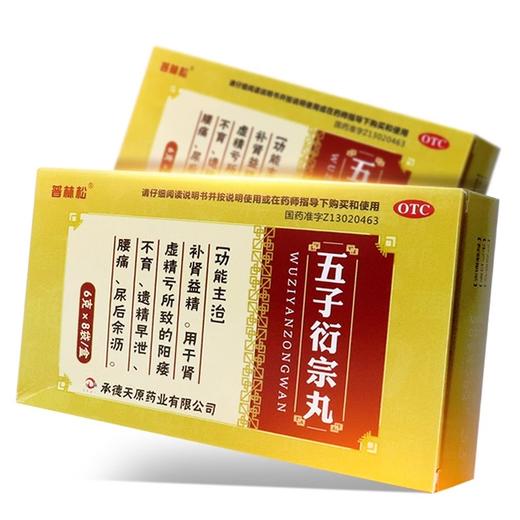 普林松五子衍宗丸 商品图0