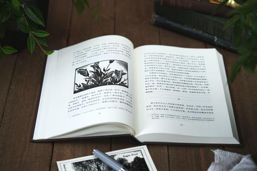 【版画版】鹰塘 自然文学的永恒经典 桂冠诗人 唐纳德·霍尔辞去教职归乡生活 借诗人之眼感受四季 归隐田园的故事 商品图5