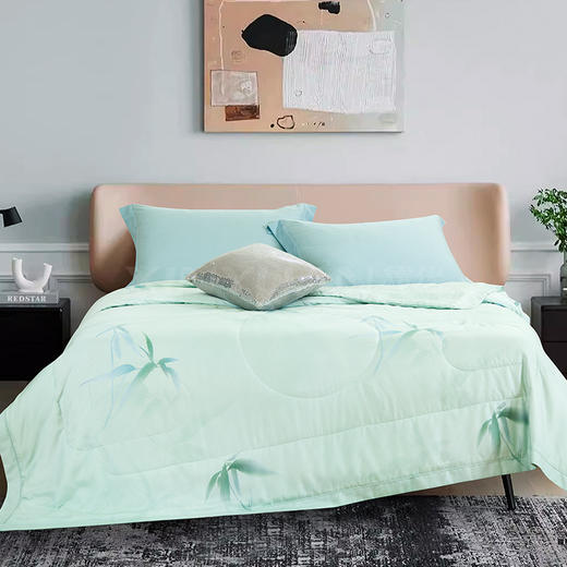 鑫缘 舒爽可水洗纯桑蚕丝被 AEPE0320 商品图6