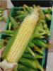 水果玉米3个 商品缩略图0