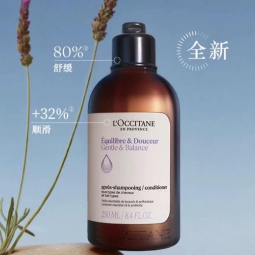 L’OCCITANE欧舒丹草本香菁纯平衡护发素 商品图0