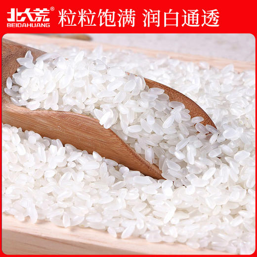 【中国农垦】北大荒东北长粒香5kg 商品图2