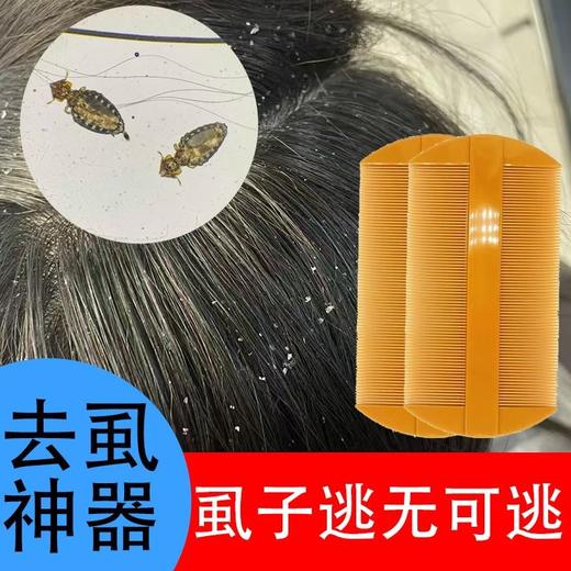 篦子超密虱子梳加密齿梳子篦子儿童刮头去虱子头发除头屑头虱子梳 商品图2