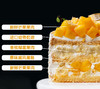 经典双拼榴芒蛋糕 商品缩略图1