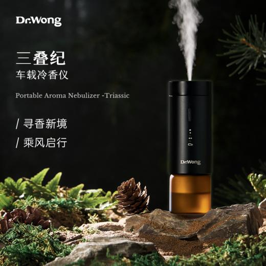 「三叠纪」车载冷香仪 商品图0