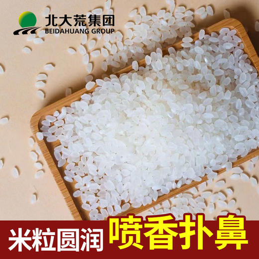 【中国农垦】北大荒生财有稻1kg 商品图3