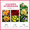 【蔬果园樱花香水洗衣液】蔬果园樱花香水除菌洗衣液洁净护色抑菌持久留香家庭装手机洗 商品缩略图3