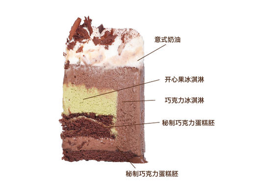 巧克力开心果冰淇淋4号 商品图1