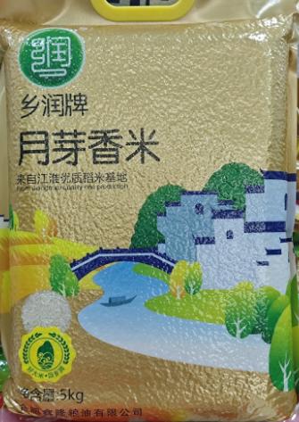 【城心米】乡润牌香月芽米5KG(新老包装随机发货)【BH】【XL】 商品图0