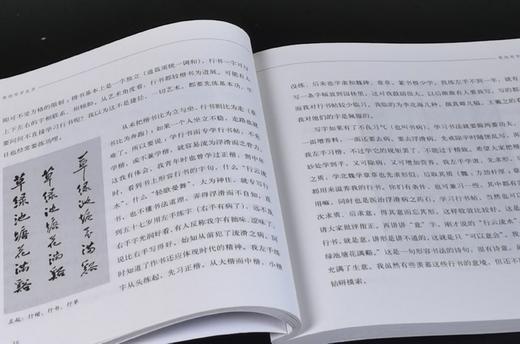 《我的写字生活》，16开平装，费新我著，中华书局2019年一版二印，171页，定价30，售价18元。 商品图10