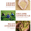 山西生态素鸡翅 |非油炸|老豆原味|合作生产|山西孝和林基地直发 商品缩略图1
