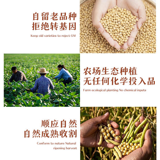 山西生态素鸡翅 |非油炸|老豆原味|合作生产|山西孝和林基地直发 商品图1