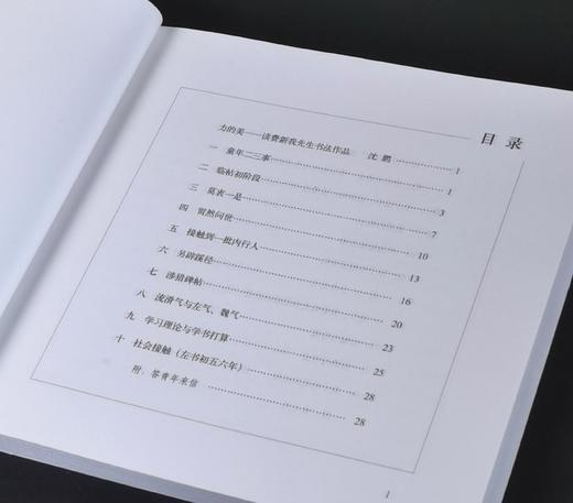 《我的写字生活》，16开平装，费新我著，中华书局2019年一版二印，171页，定价30，售价18元。 商品图3