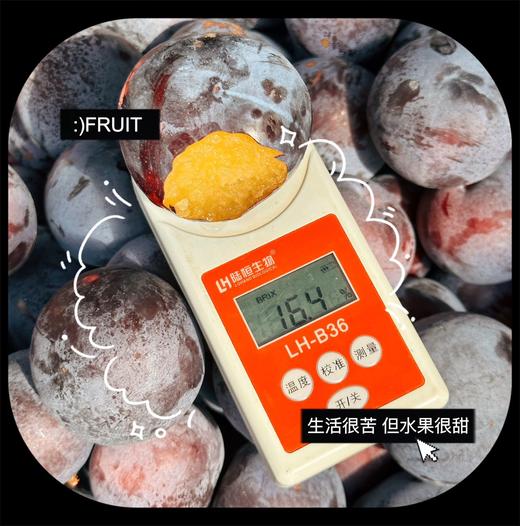 贵妃蜜李 商品图3