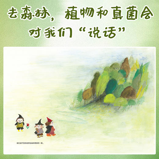 【点读版】诺贝尔科学馆：森林里的小魔法师（精）+稻田餐厅开业了吗（精） 商品图2