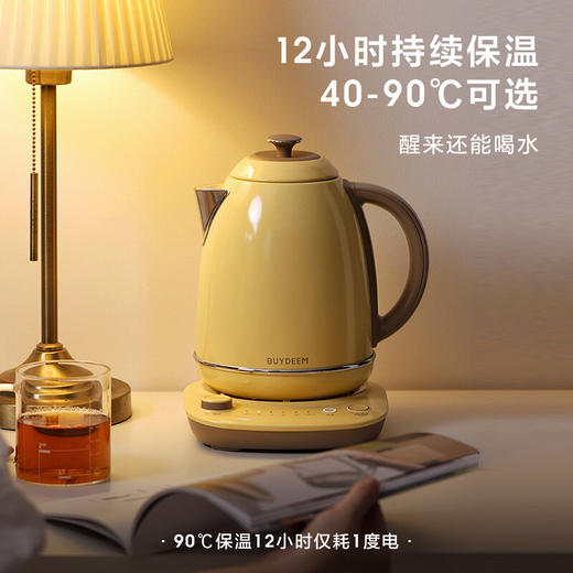 【专柜-北鼎】北鼎K740C/002烧水壶 便携恒温电热水壶浅杉绿 1.7L  220V/2000W 商品图2