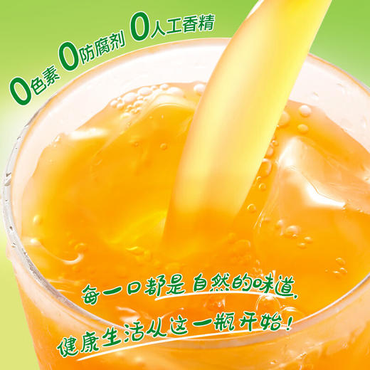 可果美复合果蔬汁饮料胡萝卜和蜜瓜风味195ml/024021 一口蜜瓜香纯粹自然 商品图2