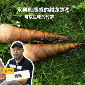 生态甜龙笋 （可生食，不需焯水）| 合作生产*Eco-sweet  bamboo shoots | Coproduction