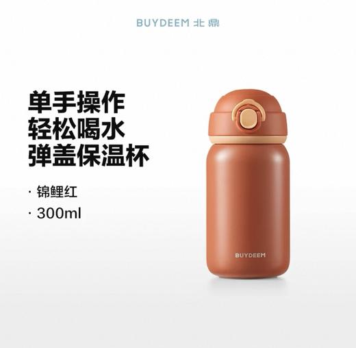 【专柜-北鼎】北鼎 TAN200/A1 弹盖保温杯迷你便携水杯儿童 浅杉绿300ml 商品图13