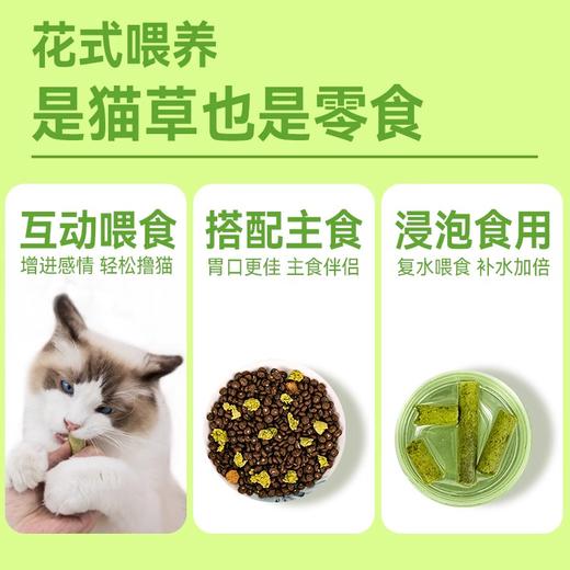金多乐45%蛋白鱼油冻干猫草棒40g/50g/500g桶装 商品图4