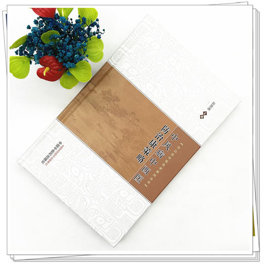 中风病中西医防治康策略 彭慧渊 主编 中山名中医传承系列丛书 中国中医药出版社 商品图1