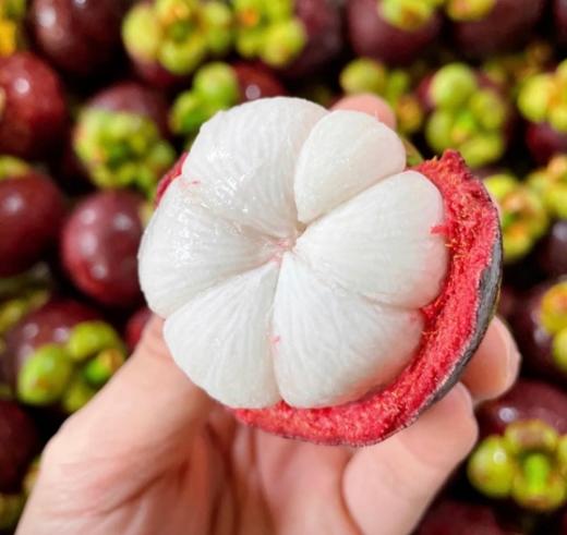 泰国山竹3A油竹 |小蜜蜂山竹 商品图0