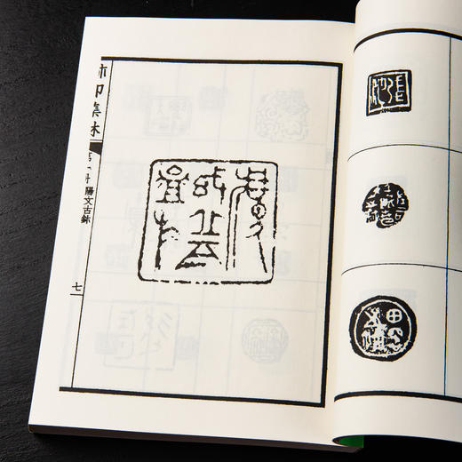 【绝版好书】《玺印集林》32开270页，2012年台文史哲据民国版初版，吴昌硕 黄宾虹 黄葆戉 童大年题序 商品图8