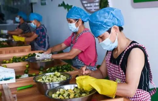 建德三都共富工坊“小青柑”茶/三年陈皮 适合夏天 商品图7