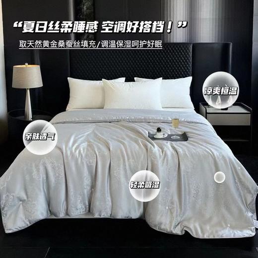 黄金丝蚕丝被，亲肤舒爽，冬暖夏凉，不是所有桑蚕丝都叫黄金蚕丝【G】 商品图0