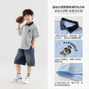 【团购价39.9-49.9】多多家男童polo衫短袖T恤儿童半袖2025夏款新款中大童刺绣上衣潮10599 商品缩略图2