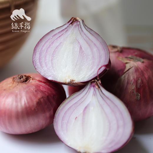 生态洋葱（洛阳） | 合作生产* Eco-onion | Coproduction 商品图0