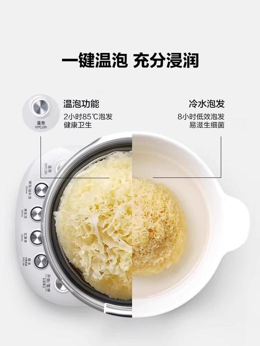 【专柜-北鼎】K118全自动养生壶多功能静音炖煮银耳羹肖特玻璃烧水壶煮茶壶1.5L 商品图4