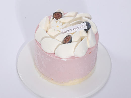 树莓开心果冰淇淋4号 商品图0