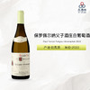 2022 Paul Pernot Puligny-Montrachet 保罗佩尔纳父子酒庄白葡萄酒 2022 商品缩略图0